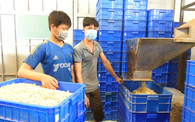 The cashew industry faces the challenge of maintaining its "top position"