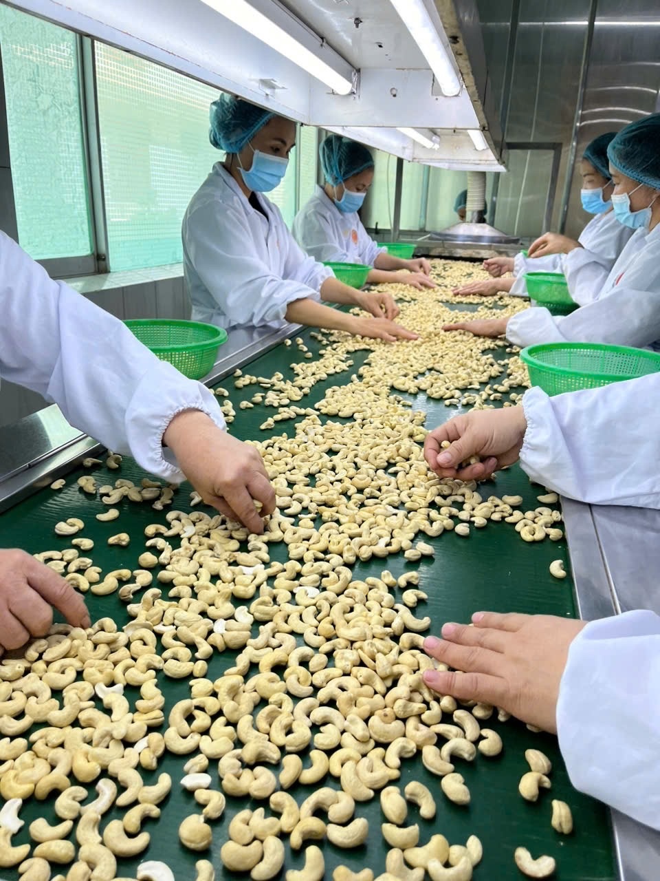 LONG GIA TRANG CO.,  LTD